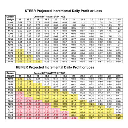 cattle-performance-midwest-pms
